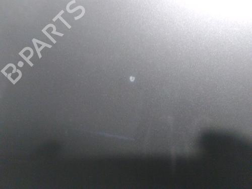 Hood RENAULT CLIO III (BR0/1, CR0/1) 1.5 dCi | BP16708290C1 