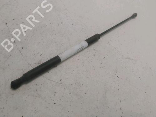 Used Tailgate lift support Tailgate lift support PEUGEOT 207 (WA_, WC_) 1.6 HDi (90 hp) 29622024 29622024