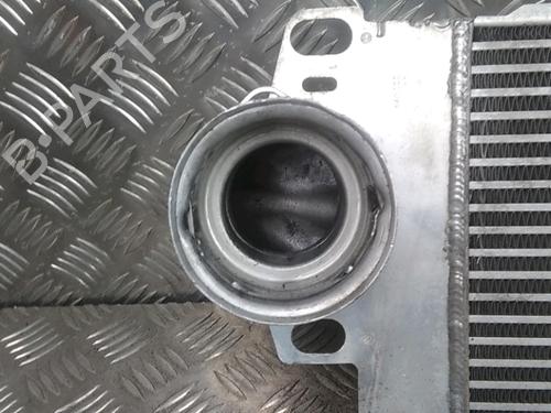 Used Intercooler Intercooler VW MULTIVAN T5 (7HM, 7HN, 7HF, 7EF, 7EM, 7EN) 2.5 TDI (174 hp) 20494463 20494463