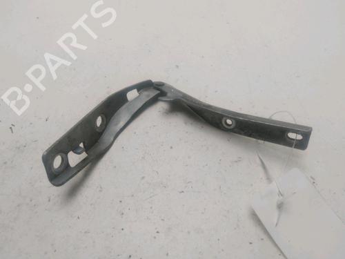 Hinge/Door check strap PEUGEOT 206 Hatchback (2A/C) 1.4 HDi eco 70 | BP25750918C146 