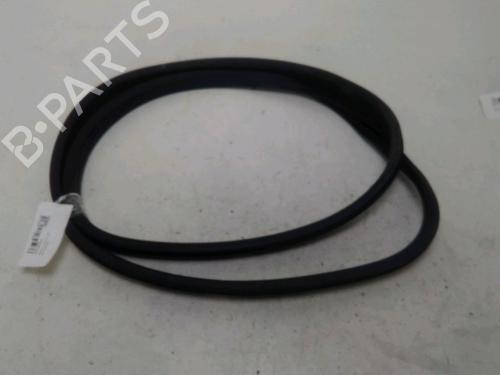 Used Rubber door seal RENAULT CLIO V (B7_) 1.0 TCe 100 (B7MT) (101 hp) 29442605