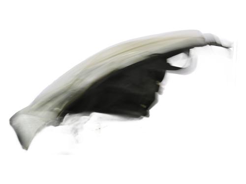 Right headlight CITROËN C3 II (SC_) 1.4 HDi 70 (SC8HZC, SC8HR0, SC8HP4) | BP33222402C29  - Image 5