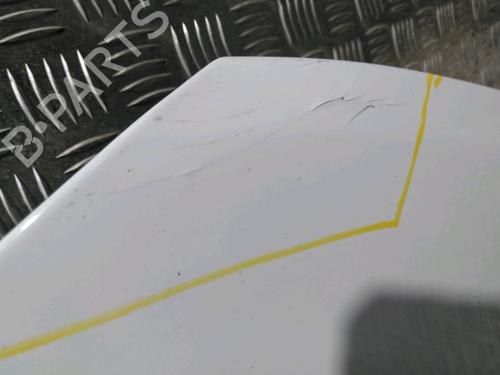 Hood RENAULT CLIO III (BR0/1, CR0/1) 1.2 16V (BR02, BR0J, BR11, CR02, CR0J, CR11) | BP17996971C1