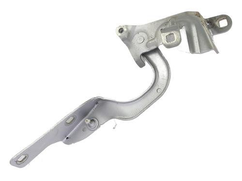 hingedoor-check-strap-renault-captur-i-j5_-h5_-2013-35887500 main image