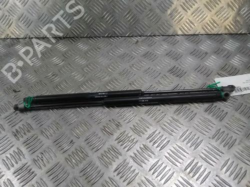 Gasdæmper bagklap FIAT 500 (312_) 1.3 D Multijet (312AXB1A) (75 hp) 14902473