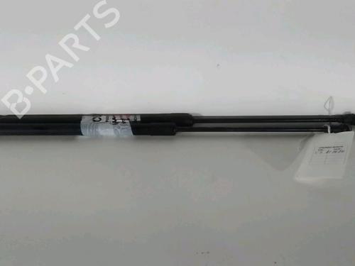 Tailgate lift support SEAT IBIZA IV (6J5, 6P1) 1.6 TDI | BP20653864C138 