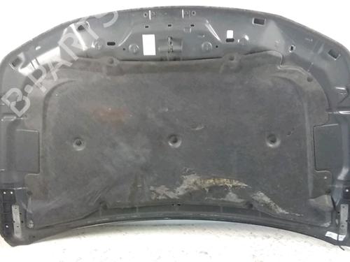 Used Hood SUZUKI GRAND VITARA II (JT, TE, TD) 1.9 DDiS All-wheel Drive (JT419, TD44, JB419WD, JB419XD,... (129 hp) 31277905