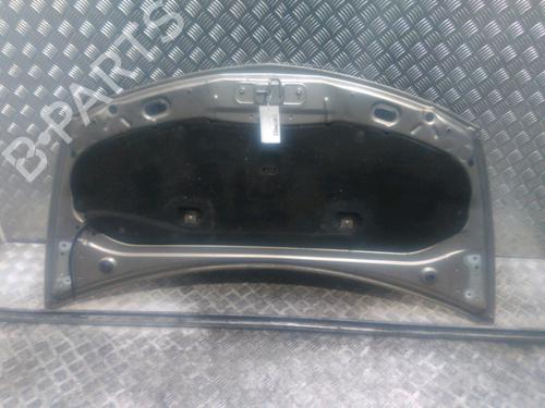 Hood RENAULT CLIO III (BR0/1, CR0/1) 1.5 dCi | BP16708290C1 