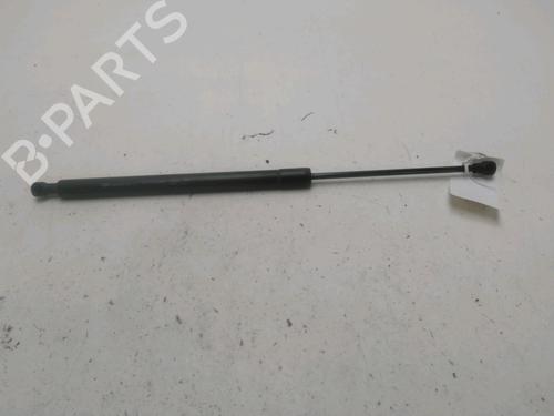 Used Tailgate lift support RENAULT SCÉNIC III (JZ0/1_) 1.2 TCe (JZ16) (132 hp) 29389378