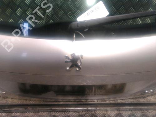 Tailgate PEUGEOT 207 (WA_, WC_) 1.6 HDi | BP16332867C6 