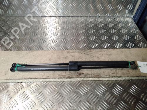 Used Tailgate lift support CITROËN C3 II (SC_) 1.2 VTi 82 (82 hp) 14902384