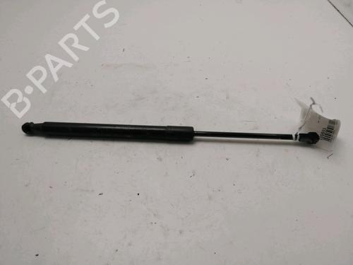 tailgate-lift-support-dacia-duster-hs_-2010-2011-2012-2013-2014-2015-2016-2017-2018-30825393 main image