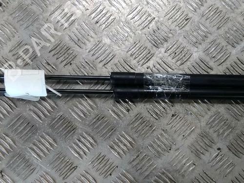 Used Tailgate lift support Tailgate lift support DACIA SANDERO II 1.2 (75 hp) 17068227 17068227