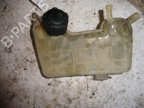 Used Expansion tank RENAULT MEGANE II (BM0/1_, CM0/1_) [2001-2012]  30980292