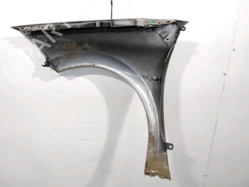 Used Right front fenders RENAULT MEGANE II (BM0/1_, CM0/1_) 1.4 16V (BM0B, CM0B) (98 hp) 29644296