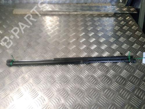 Used Tailgate lift support FORD FIESTA V (JH_, JD_) 1.4 TDCi (68 hp) 14902428