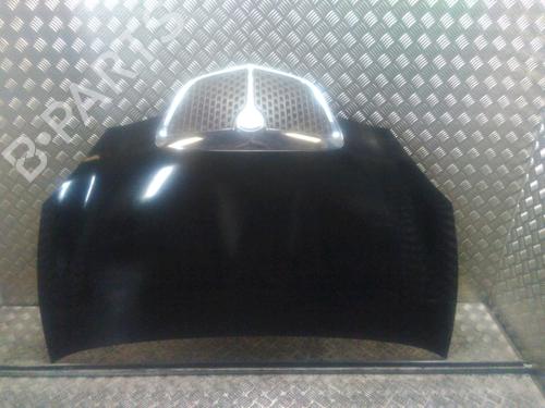 Motorhaube LANCIA YPSILON (843_) 1.2 (843.AXA1A) (60 hp) 16332841