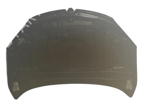 hood-renault-megane-iii-hatchback-bz01_-b3_-2008-32129377 main image