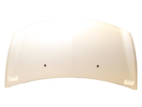 hood-renault-clio-iii-br01-cr01-2005-2006-2007-2008-2009-2010-2011-2012-2013-2014-31031206 main image