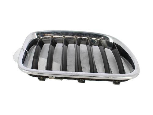 Used Grille BMW X1 (E84) sDrive 16 d (116 hp) 29819290