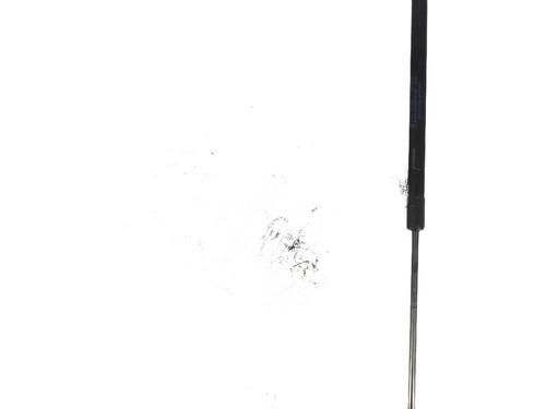 Tailgate lift support FORD FIESTA VI (CB1, CCN) 1.5 TDCi | BP32038799C138 