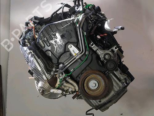 Motor RENAULT KANGOO III MPV Blue dCi 95 (KJAB) (95 hp) 29929941