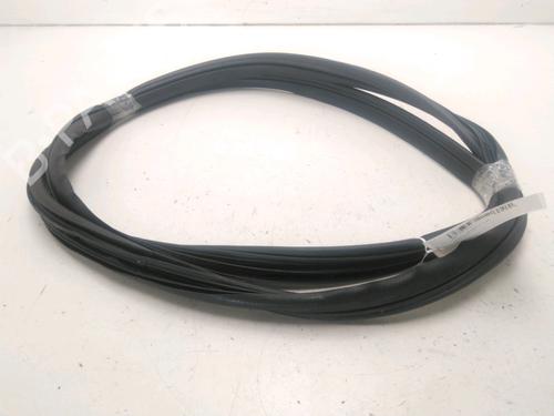 Used Rubber door seal RENAULT MEGANE II (BM0/1_, CM0/1_) 1.5 dCi (BM1E, CM1E) (106 hp) 24882325