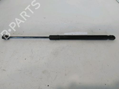 Tailgate lift support RENAULT CLIO III Grandtour (KR0/1_) 1.5 dCi | BP30188176C138