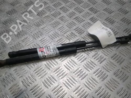 Used Tailgate lift support RENAULT MEGANE III Hatchback (BZ0/1_, B3_) 1.5 dCi (BZ0C) (90 hp) 16243380