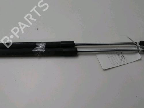 Used Tailgate lift support RENAULT CLIO III (BR0/1, CR0/1) 1.2 16V (BR02, BR0J, BR11, CR02, CR0J, CR11) (75 hp) 17997146