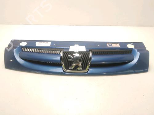 Used Grille Grille 21180789 21180789