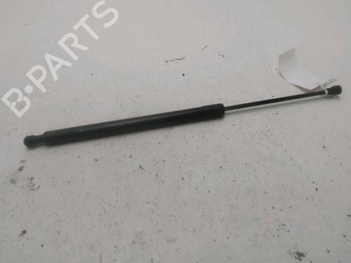 Tailgate lift support RENAULT SCÉNIC III (JZ0/1_) 1.2 TCe (JZ16) | BP29389370C138 