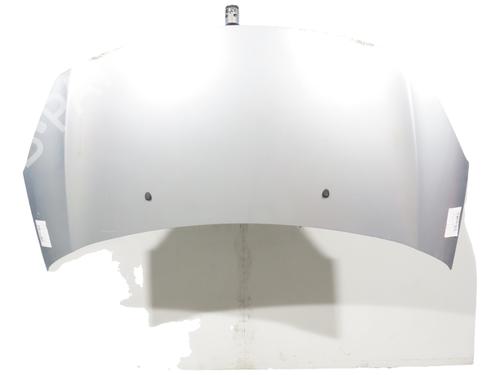 Used Hood Hood DS DS 3 (SA_) 1.2 THP 110 / PureTech 110 (SAHNPS, SAHNZ6, SAHNZT) (110 hp) 35516352 35516352