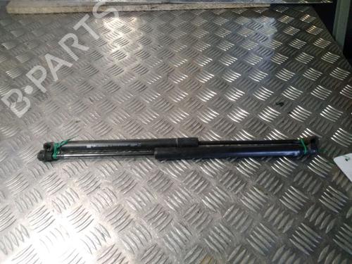 Gassdemper Bakluke RENAULT CLIO IV (BH_) 1.5 dCi 75 (75 hp) 14902404