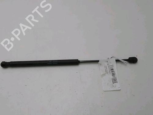 Used Tailgate lift support CITROËN C3 I (FC_, FN_) 1.4 i (73 hp) 19498655