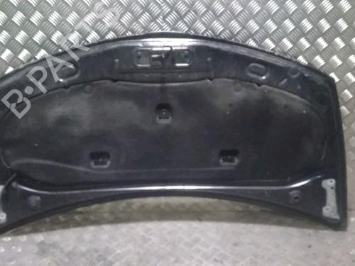Used Hood RENAULT CLIO III (BR0/1, CR0/1) 1.5 dCi (75 hp) 23181145
