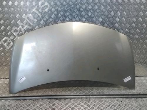 Used Hood RENAULT CLIO III (BR0/1, CR0/1) 1.5 dCi (C/BR0G, C/BR1G) (68 hp) 15842816