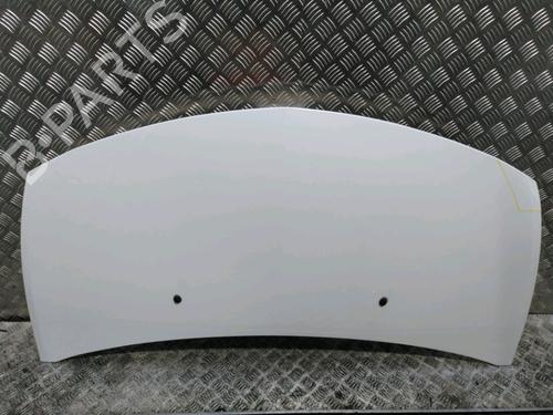 Used Hood RENAULT CLIO III (BR0/1, CR0/1) 1.2 16V (BR02, BR0J, BR11, CR02, CR0J, CR11) (75 hp) 17996971