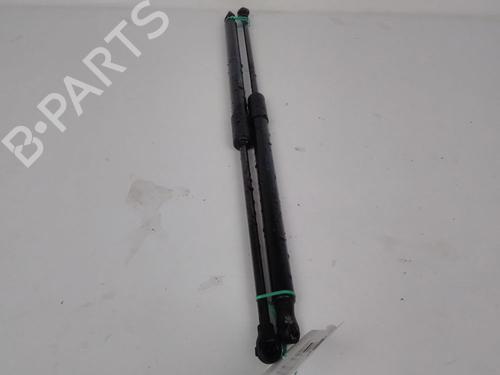 Used Tailgate lift support Tailgate lift support RENAULT CLIO V (B7_) 1.5 Blue dCi 85 (B7AG) (86 hp) 15756987 15756987