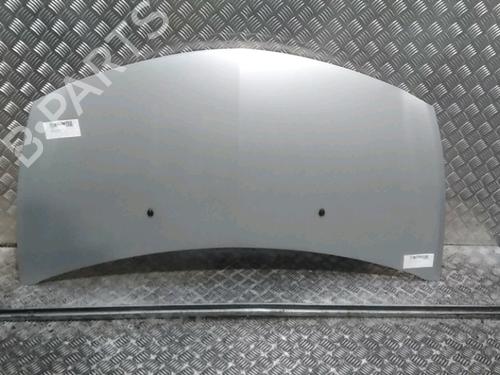 Used Hood RENAULT CLIO III (BR0/1, CR0/1) 1.5 dCi (BR17, CR17) (86 hp) 16556451