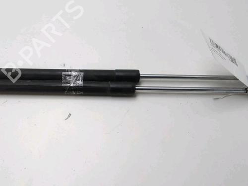 Used Tailgate lift support RENAULT CLIO III (BR0/1, CR0/1) 1.2 16V (BR02, BR0J, BR11, CR02, CR0J, CR11) (75 hp) 17997146