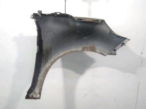 Left front fenders RENAULT SCÉNIC III (JZ0/1_) 1.5 dCi | BP28613958C41 
