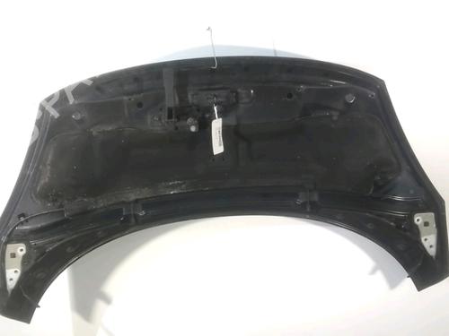 Hood RENAULT SCÉNIC III (JZ0/1_) 1.5 dCi | BP24137694C1