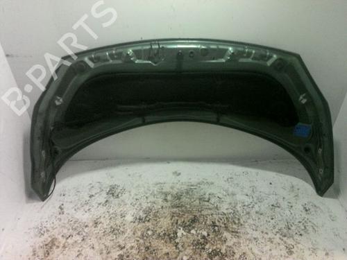 Used Hood RENAULT SCÉNIC II (JM0/1_) 1.5 dCi (JM02, JM13) (101 hp) 15754021