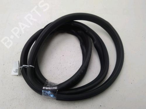 rubber-door-seal-renault-scenic-ii-jm01_-2003-2004-2005-2006-2007-2008-2009-2010-28159795 main image