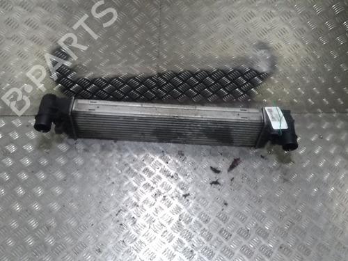 Used Other RENAULT VEL SATIS (BJ0_) 2.0 dCi (BJ03, BJ0B) (173 hp) 14902088