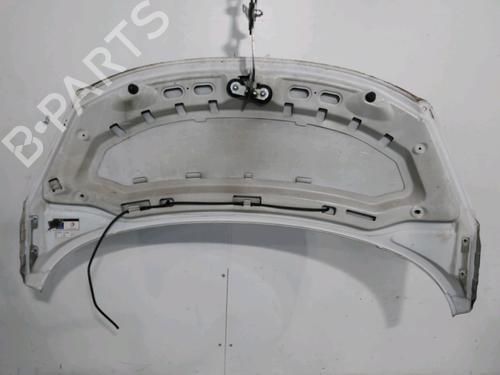 hood-peugeot-207-wa_-wc_-2006-2007-2008-2009-2010-2011-2012-2013-2014-2015-30048125 main image