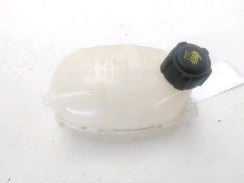expansion-tank-renault-clio-v-b7_-2019-28159729 main image