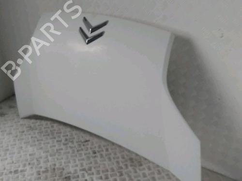hood-citroen-nemo-box-bodympv-aa_-2008-33998238 main image
