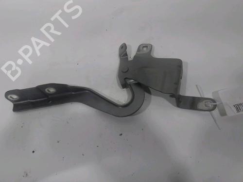 Hinge/Door check strap RENAULT CLIO IV (BH_) 0.9 TCe 90 (BHNF, BHMA, BHMH, BHJK, BHJR) | BP28331176C146 